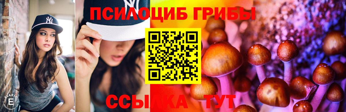 Псилоцибиновые грибы MAGIC MUSHROOMS  Вход с VPN  наркошоп  Псилоцибиновые грибы Magic Shrooms  Унеча 