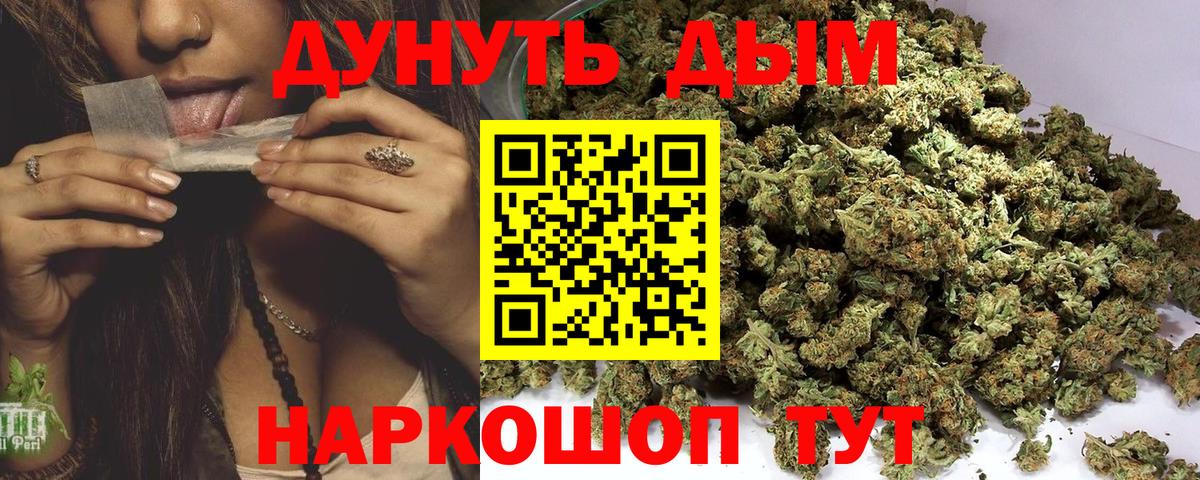 Каннабис планчик Унеча